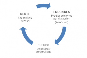 circulo