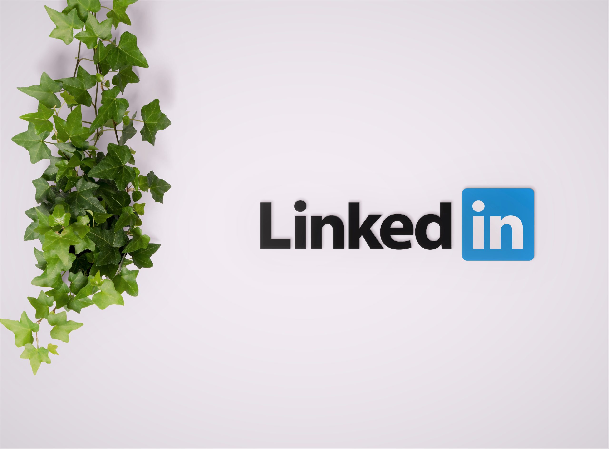 encontrar empleo en LinkedIn