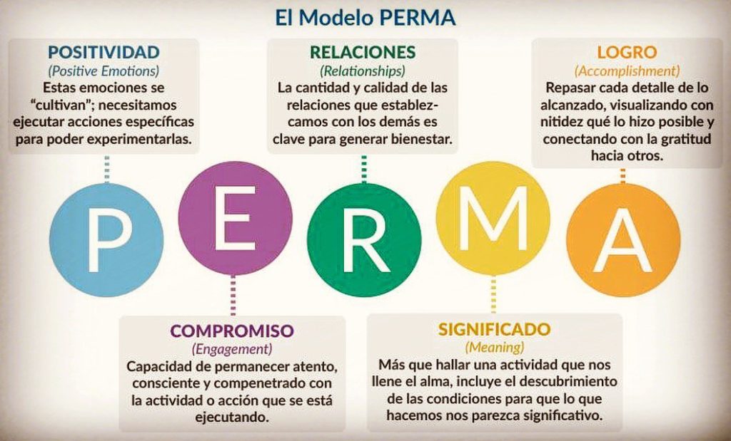 Medir la felicidad EVA LUQUE COACHING ECOLÓGICO